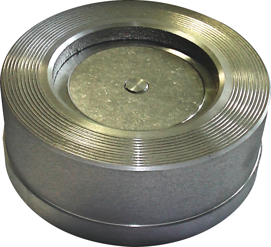 Reiche RSVFlansch, TCF-N80 DN 80 PN6-16 / Gehäuse GG 20,Teller Niro,-30 - +300 C