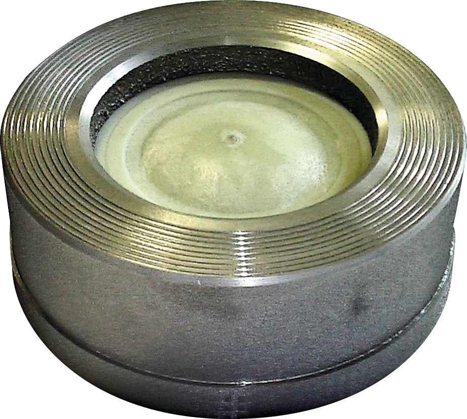 Reiche RSV/FL, TCF-K100 DN 100 PN6/10, / Gehäuse GG 20, Teller aus PA -30-130 C