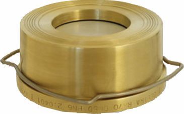 Rückschlagventil Disco-RK71 DN100 / DN100 5mbar PN16 metallisch